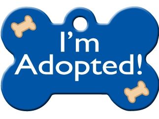 ID Tag Bone Painted Blue Adopted -